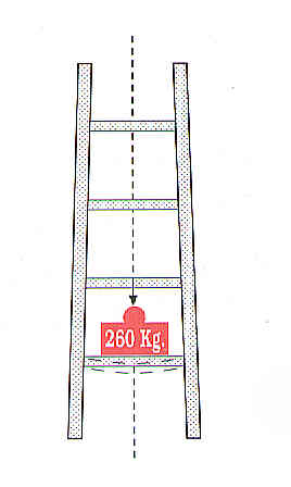 Scale in appoggio ad una rampa o più rampe