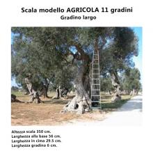 Scala per Agricoltura - 11 gradini dettagli Scala per Agricoltura - 11 gradini dettagli