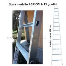 Scala per Agricoltura - 13 gradini gradino largo dettagli
