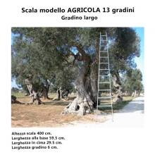 Scala per Agricoltura - 13 gradini gradino largo