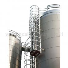 Scale con gabbia tronco sdoppiato