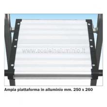 Scala a salita singola 5 gradini - piattaforma in alluminio 250 x 300