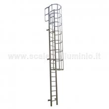 Scale in alluminio con gabbia di protezione