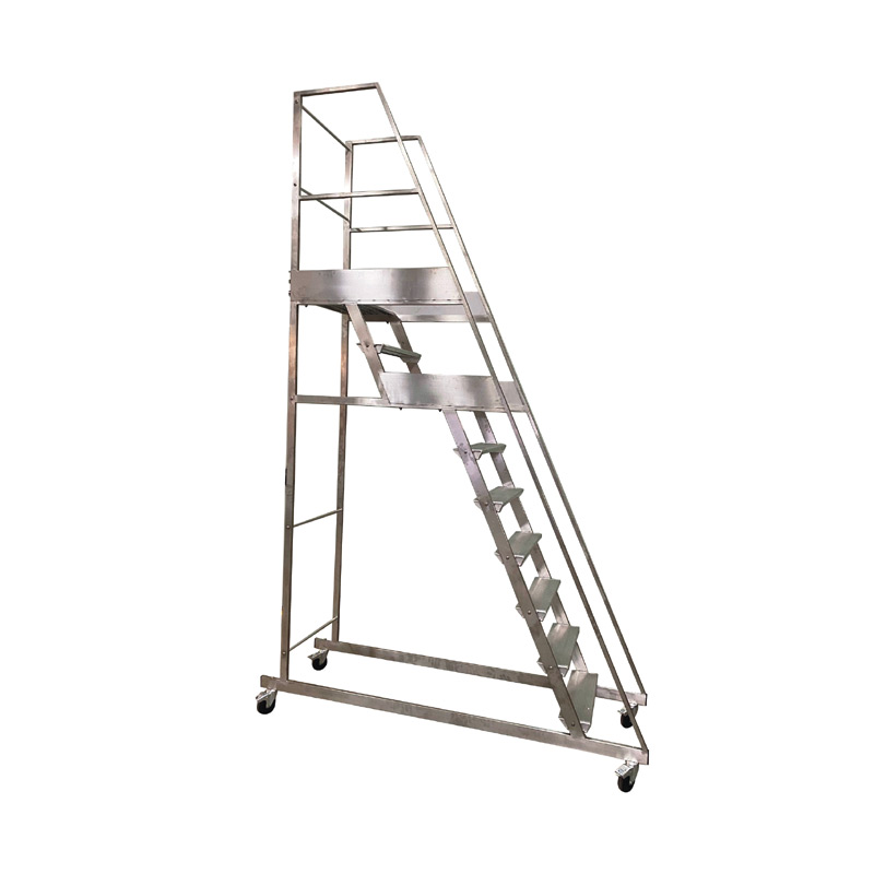 Scala doppio palchetto in alluminio Scala doppio palchetto in alluminio